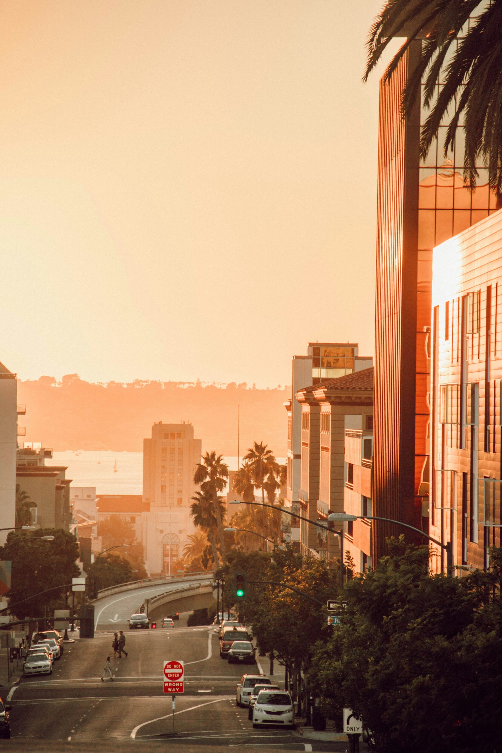 San Diego dog-friendly places