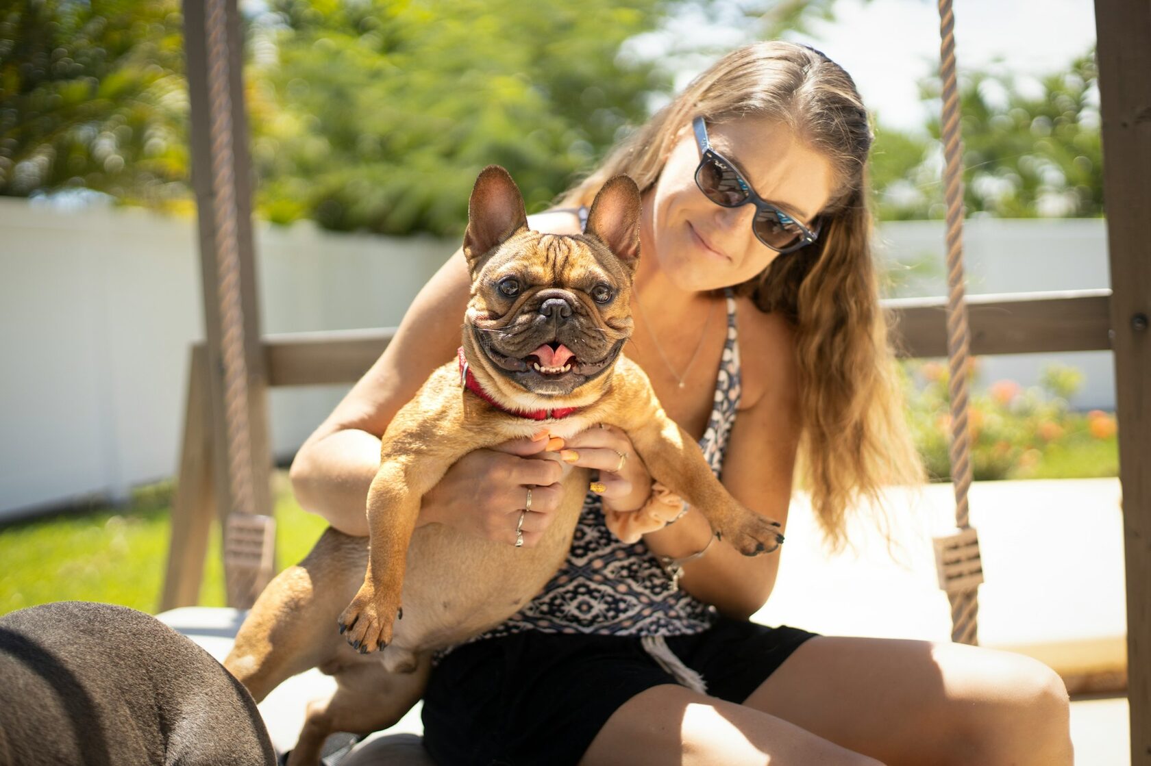 Dog-friendly outdoor place with a dog