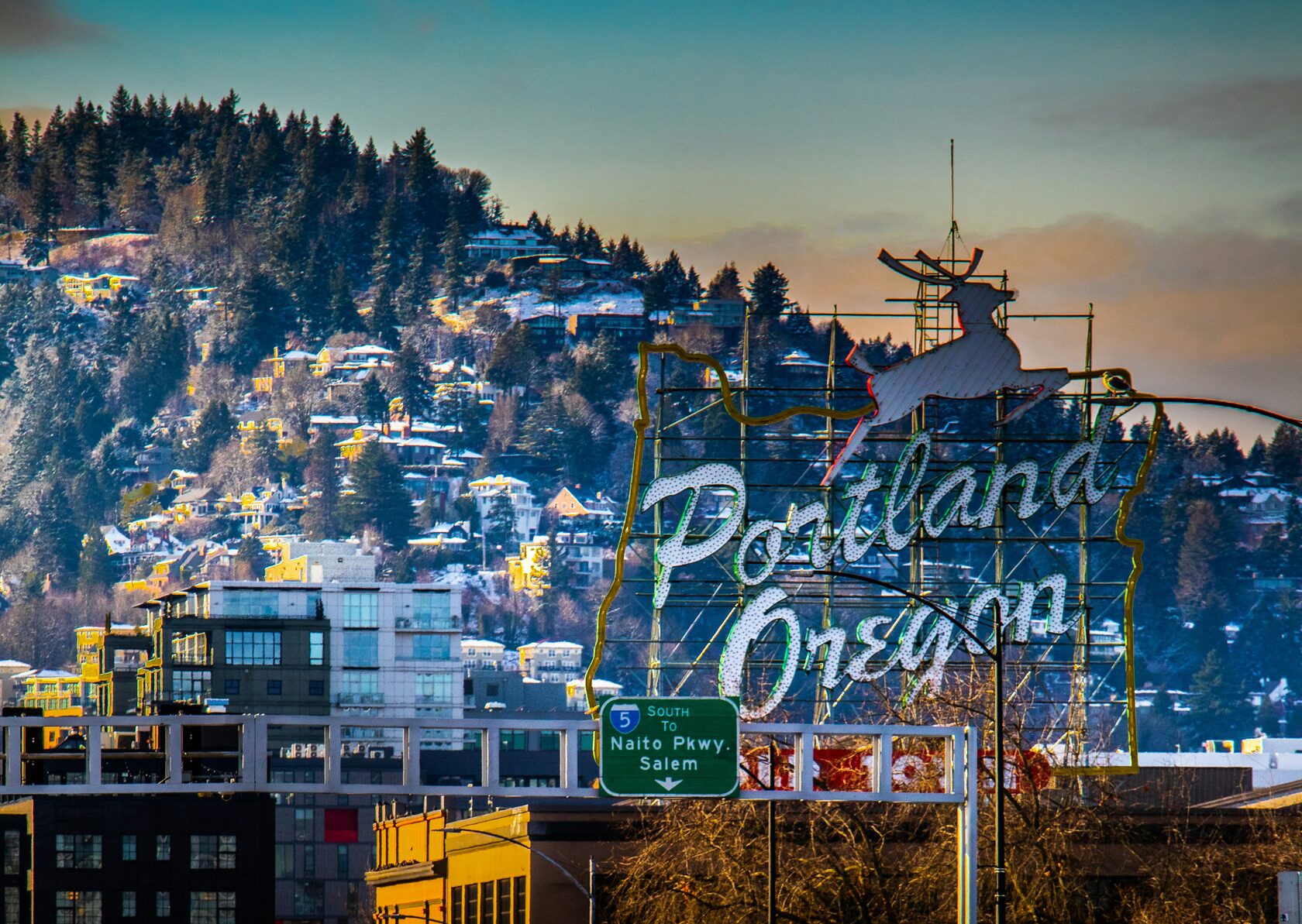 Portland dog-friendly places